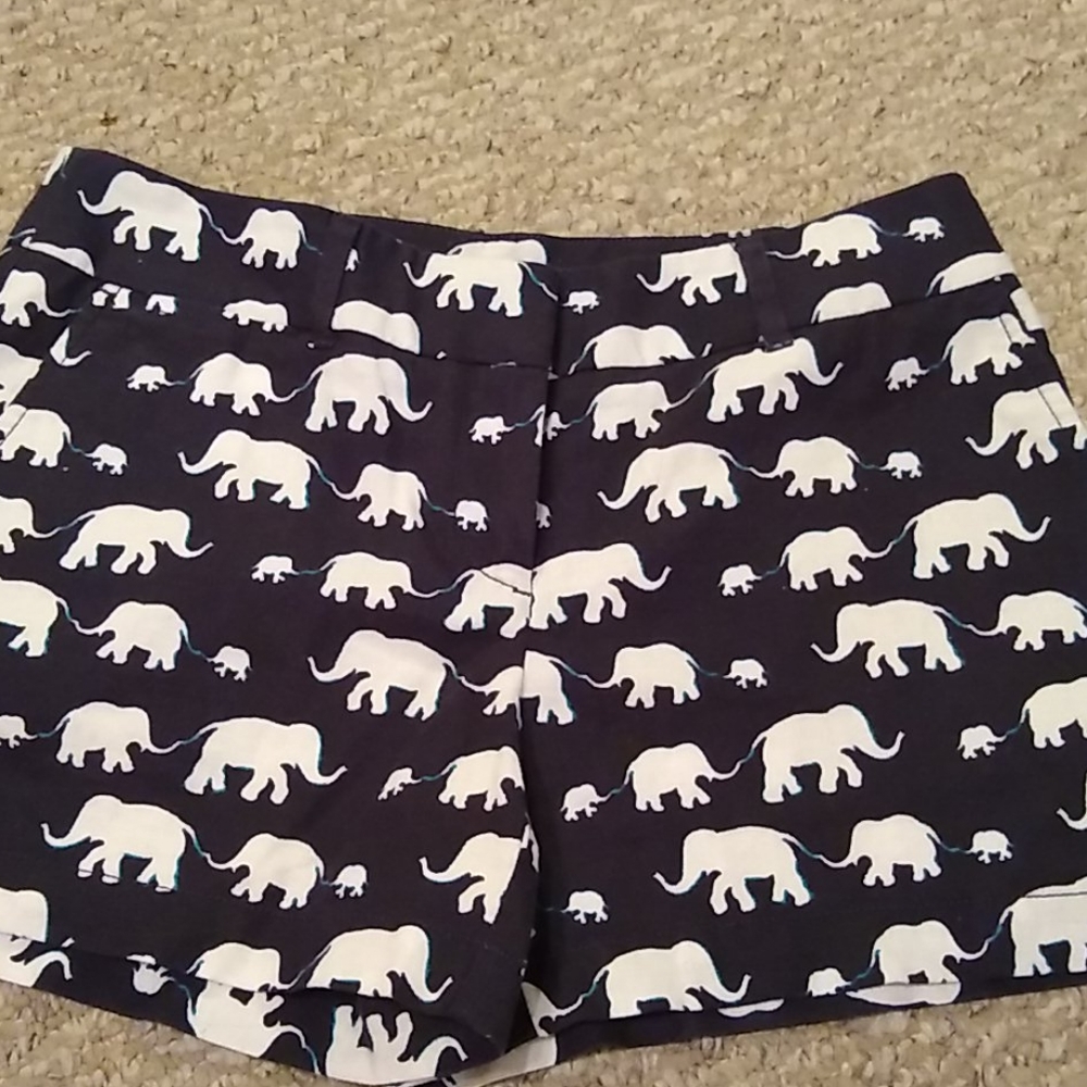 Loft shorts